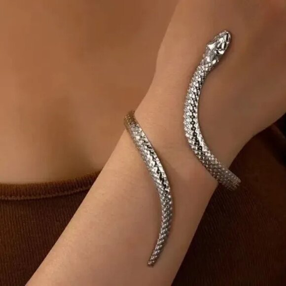 3/$35 Silver Tone Textured Snake Bracelet Cuff Bangle Wrap Statement Jewelry - Picture 7 of 7